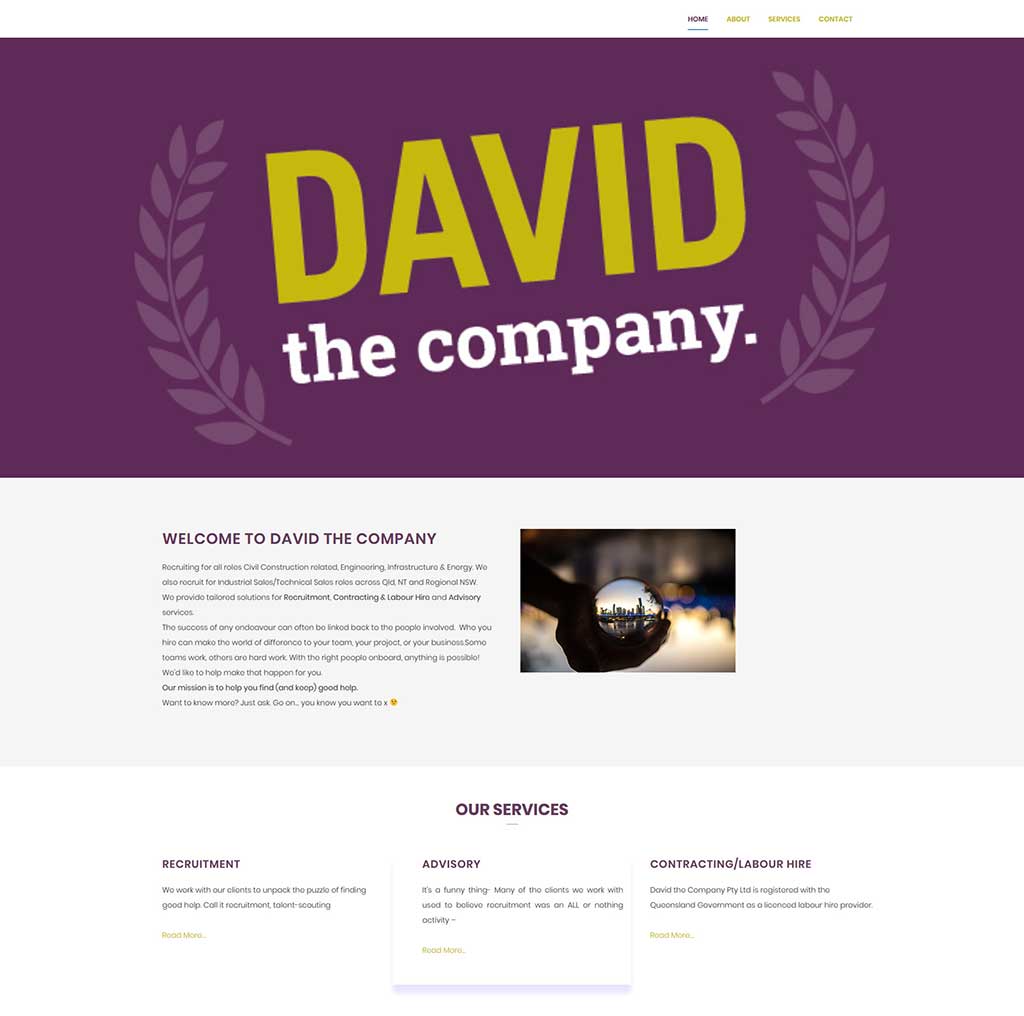 You are currently viewing David the Company